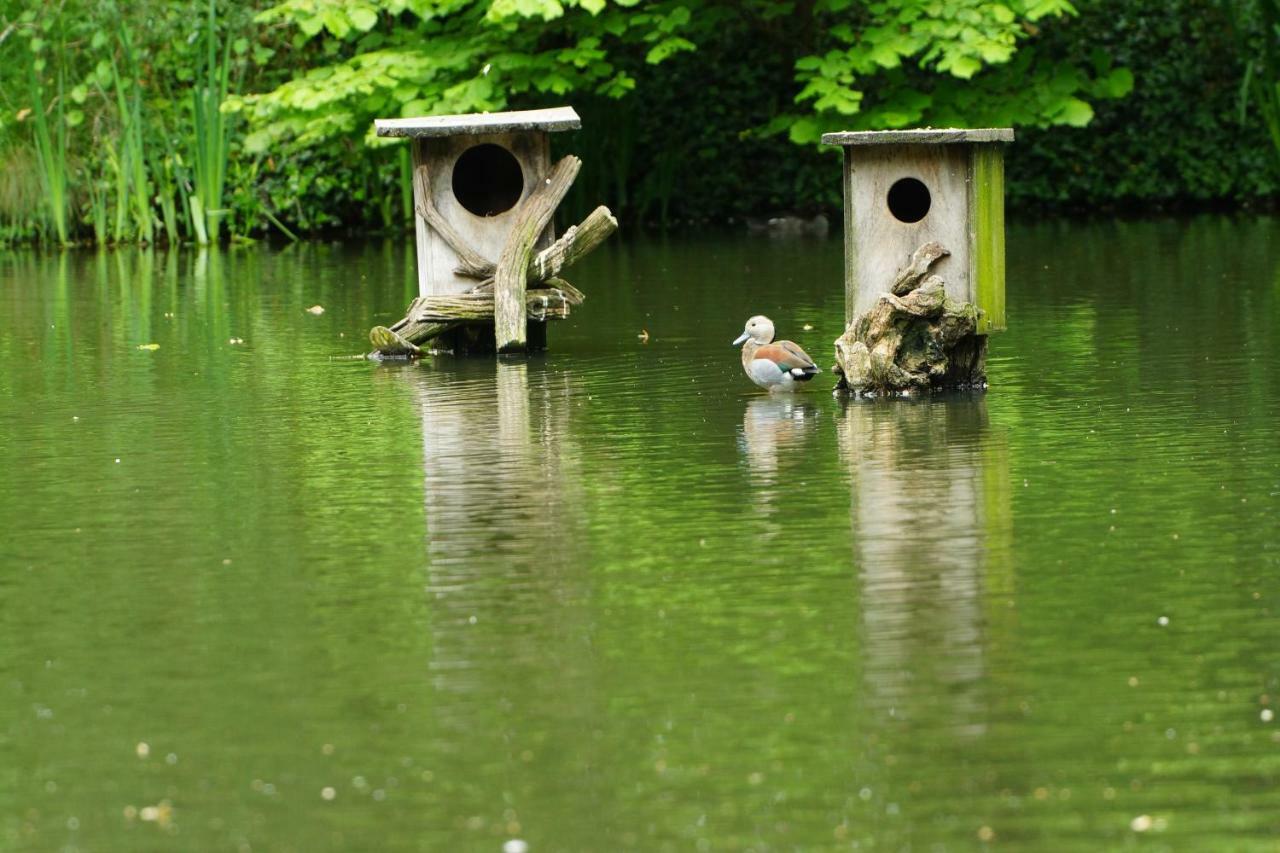 Gaestewohnung Hardinghaus Am Teich Warendorf Ngoại thất bức ảnh