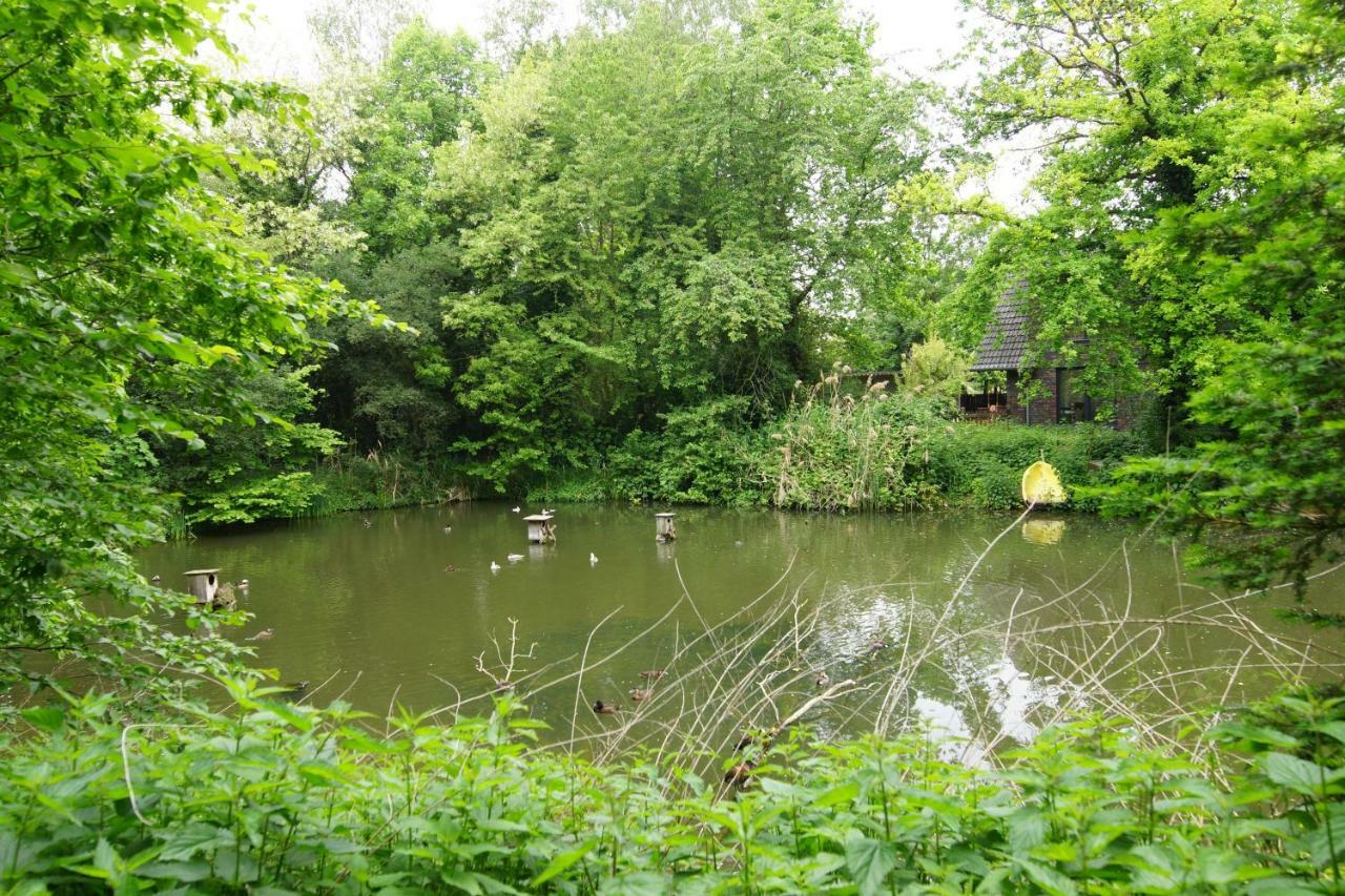 Gaestewohnung Hardinghaus Am Teich Warendorf Ngoại thất bức ảnh